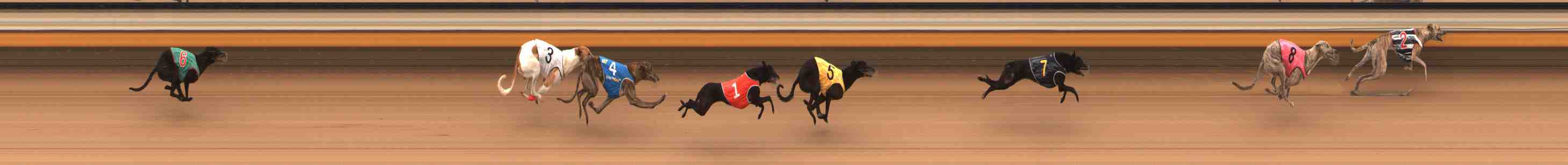 Photo finish for Warrnambool Race 3