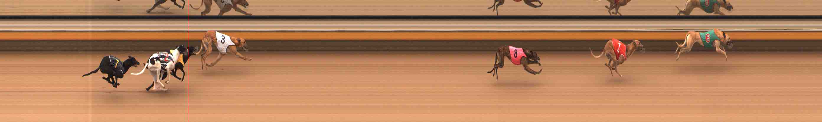 Photo finish for Warrnambool Race 4