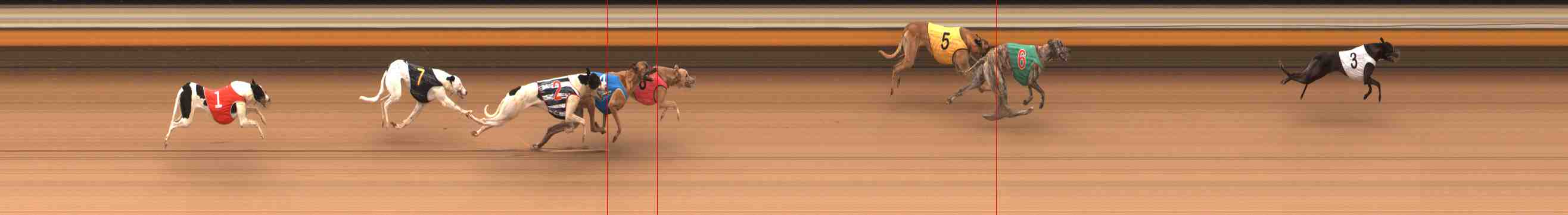 Photo finish for Warrnambool Race 5