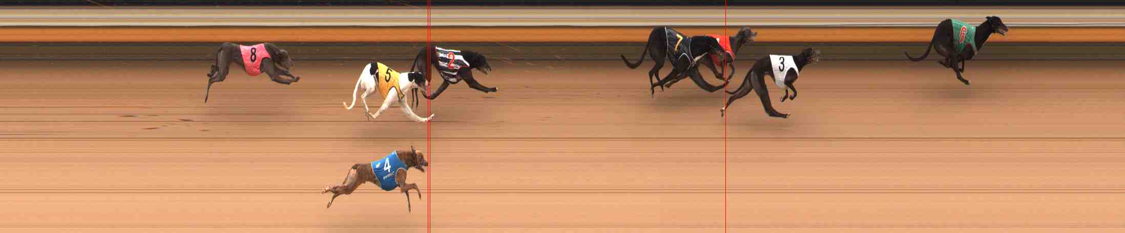 Photo finish for Warrnambool Race 6