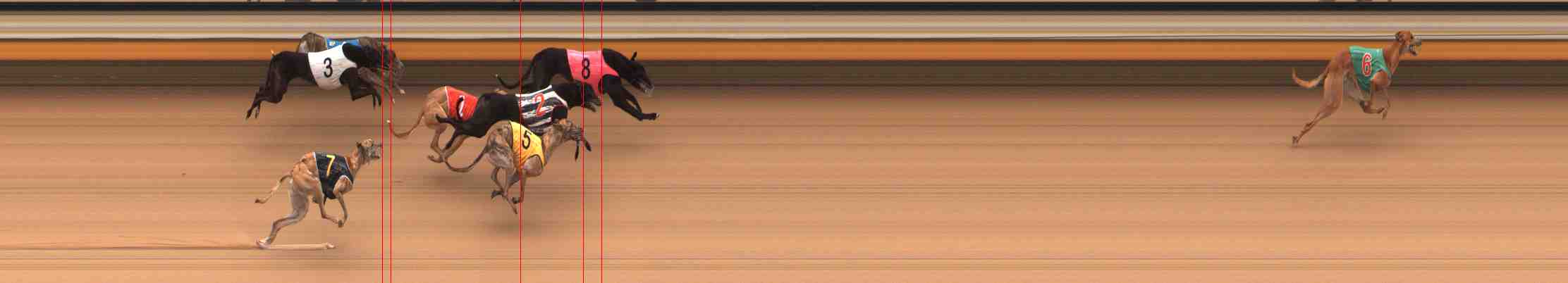 Photo finish for Warrnambool Race 7