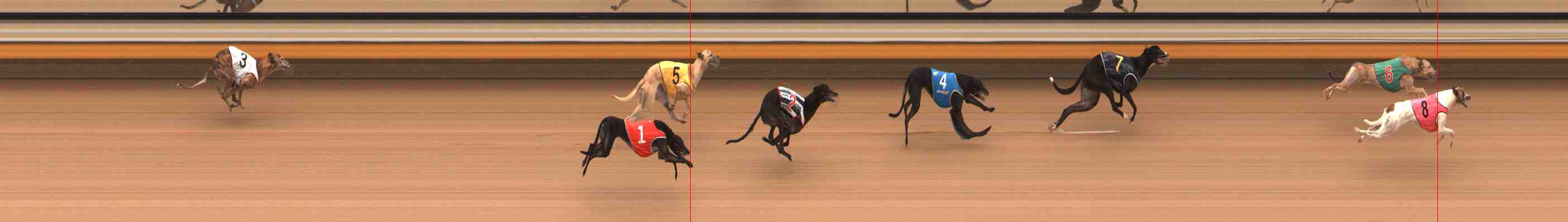 Photo finish for Warrnambool Race 8