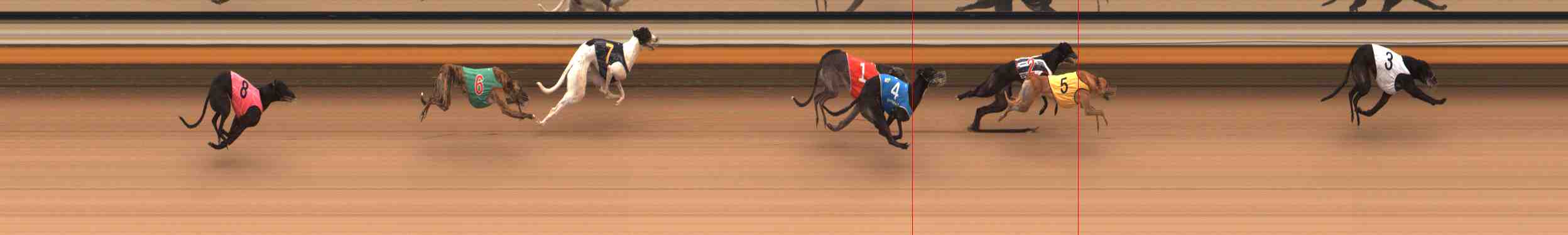 Photo finish for Warrnambool Race 9