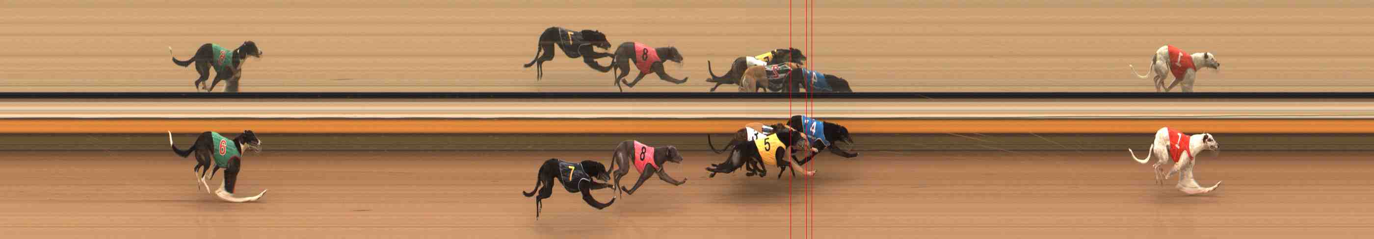 Photo finish for Warrnambool Race 10