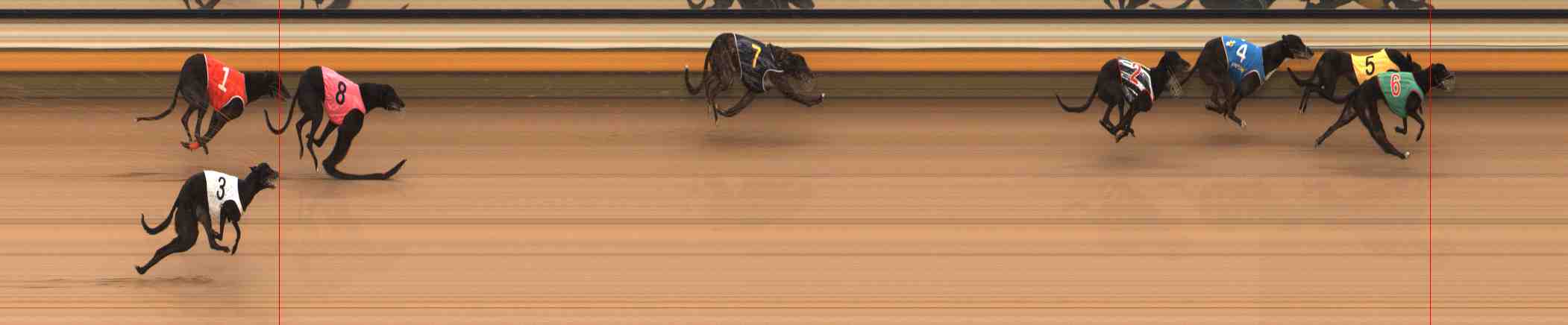 Photo finish for Warrnambool Race 11