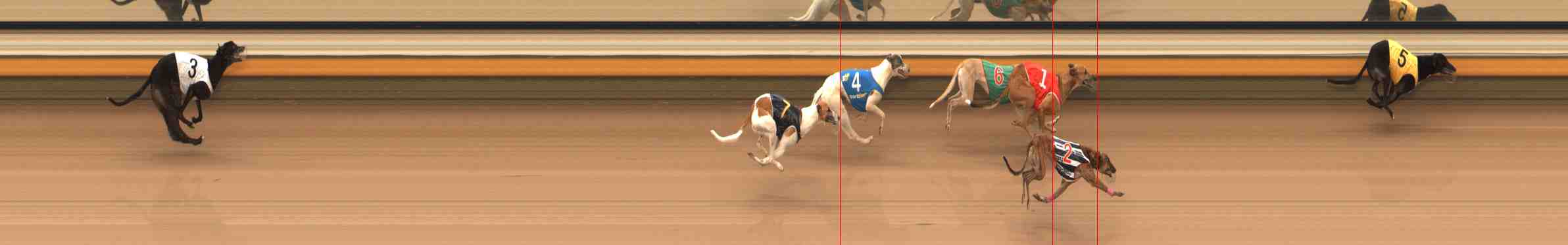 Photo finish for Warrnambool Race 12