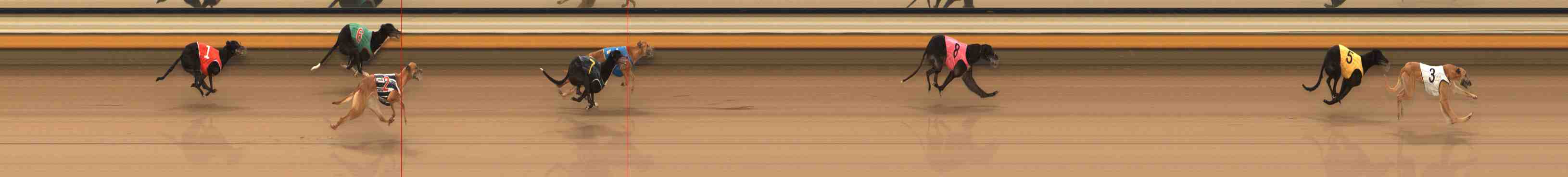 Photo finish for Warrnambool Race 13