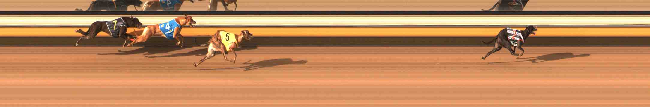 Race result finish photo