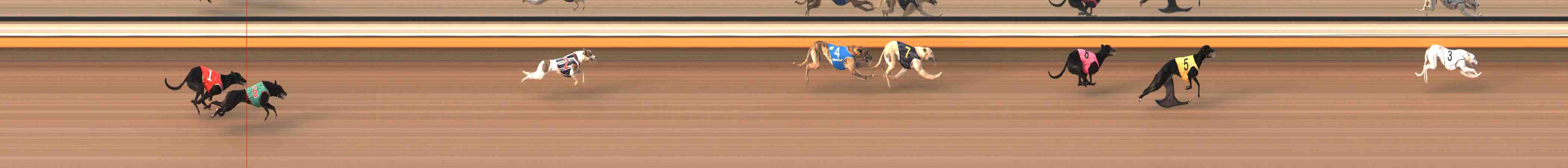 Photo finish for Warrnambool Race 2