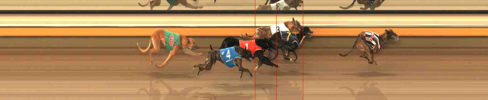 Photo finish for Warrnambool Race 5