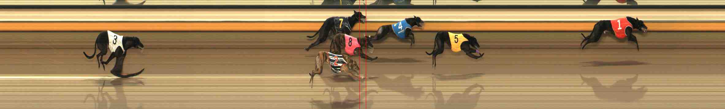 Photo finish for Warrnambool Race 6