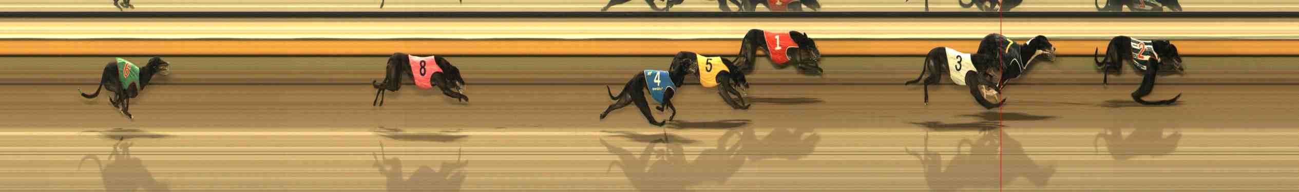 Photo finish for Warrnambool Race 7