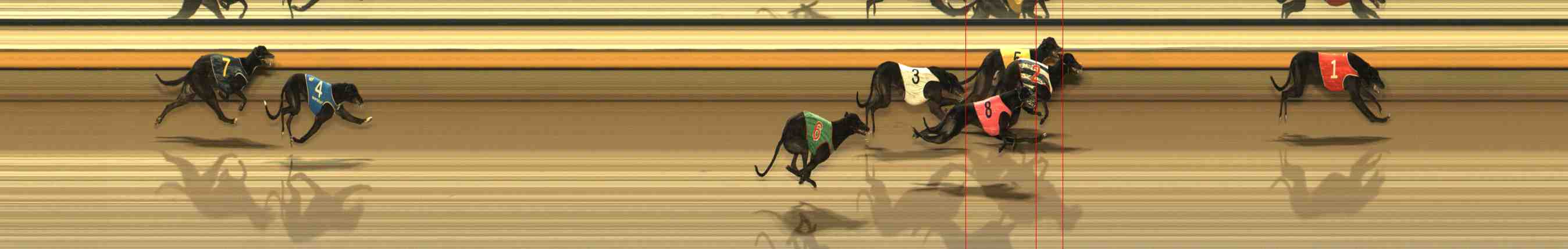 Photo finish for Warrnambool Race 8