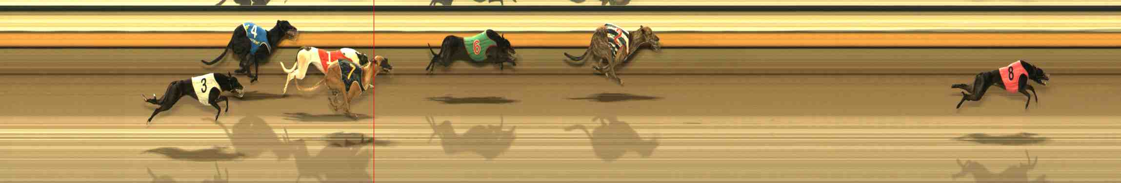 Photo finish for Warrnambool Race 9