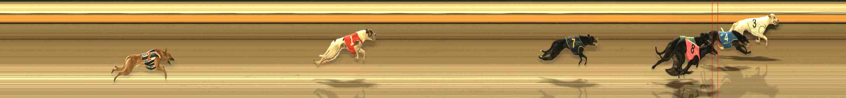 Photo finish for Warrnambool Race 10