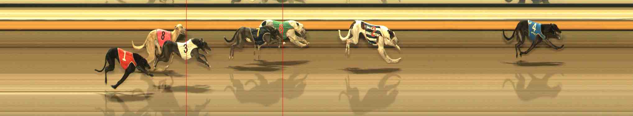 Photo finish for Warrnambool Race 11