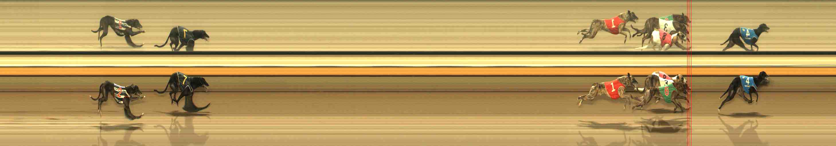 Race result finish photo