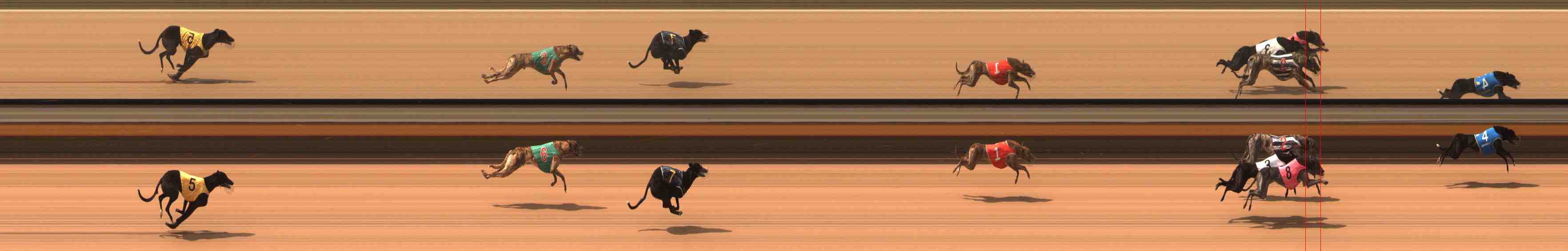 Race result finish photo