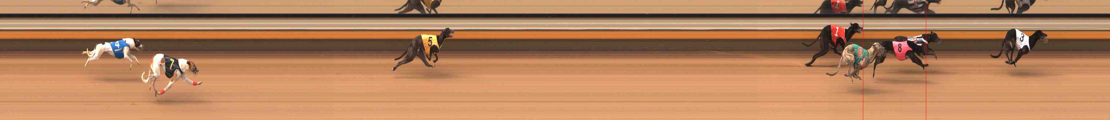 Photo finish for Warrnambool Race 2