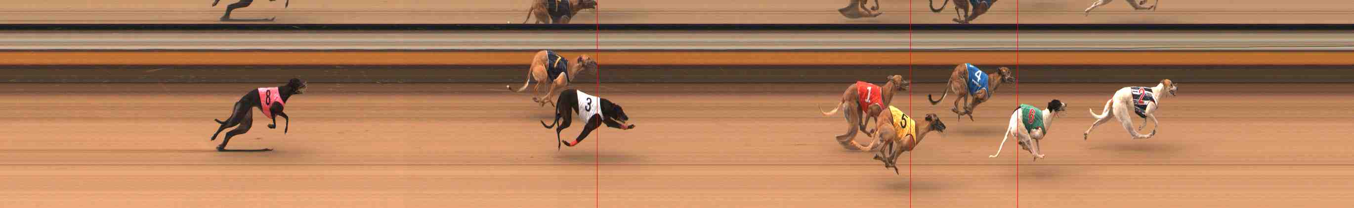 Photo finish for Warrnambool Race 3
