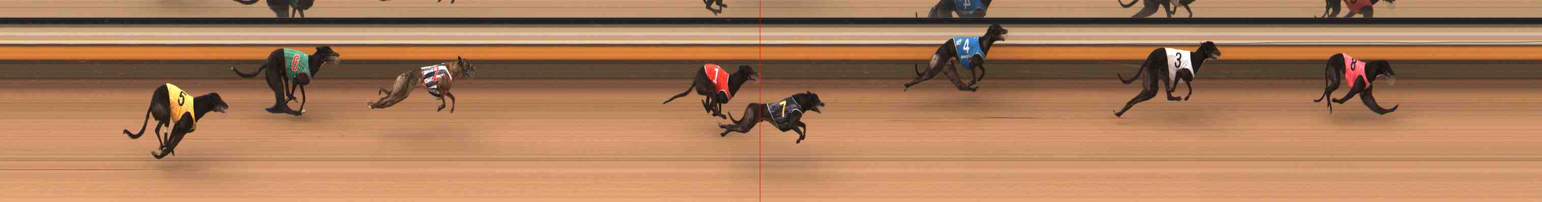 Photo finish for Warrnambool Race 4