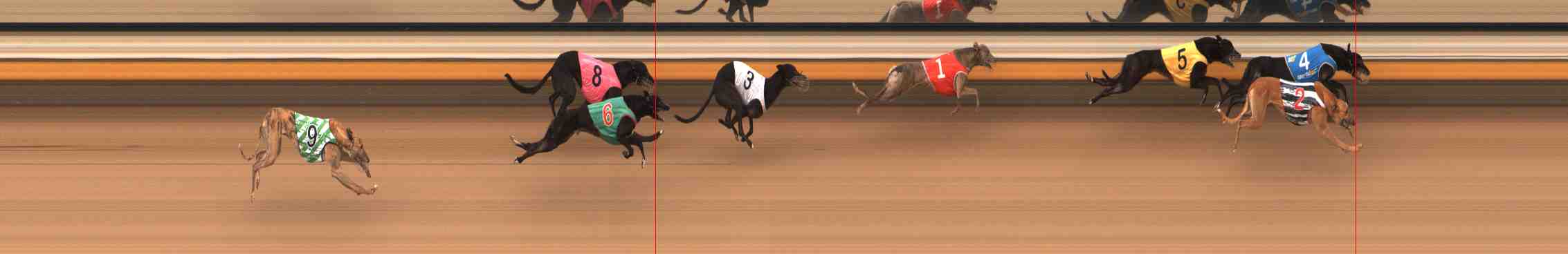 Photo finish for Warrnambool Race 5