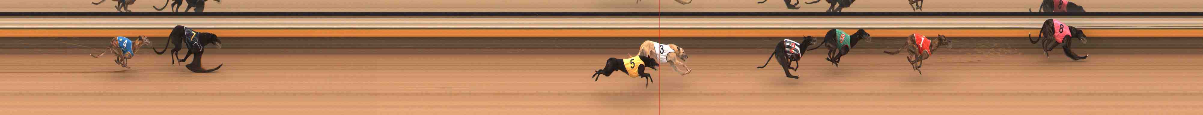 Photo finish for Warrnambool Race 6