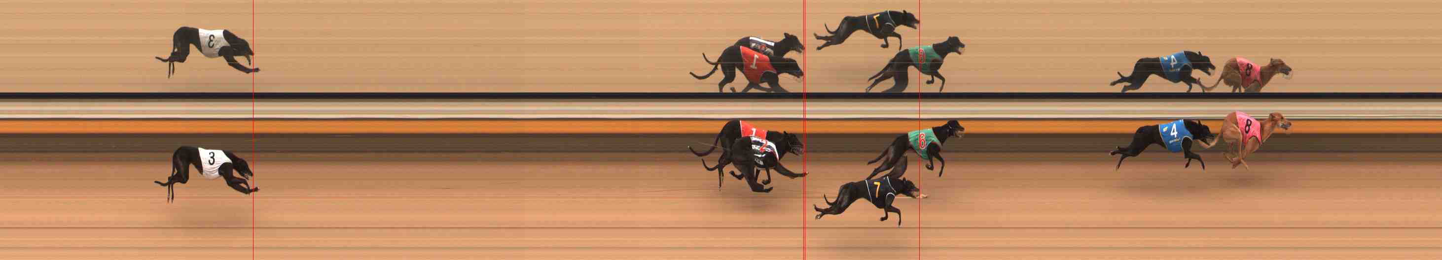 Photo finish for Warrnambool Race 7