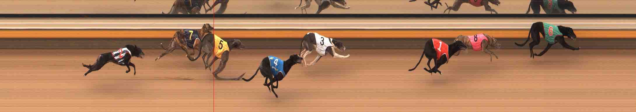 Photo finish for Warrnambool Race 8