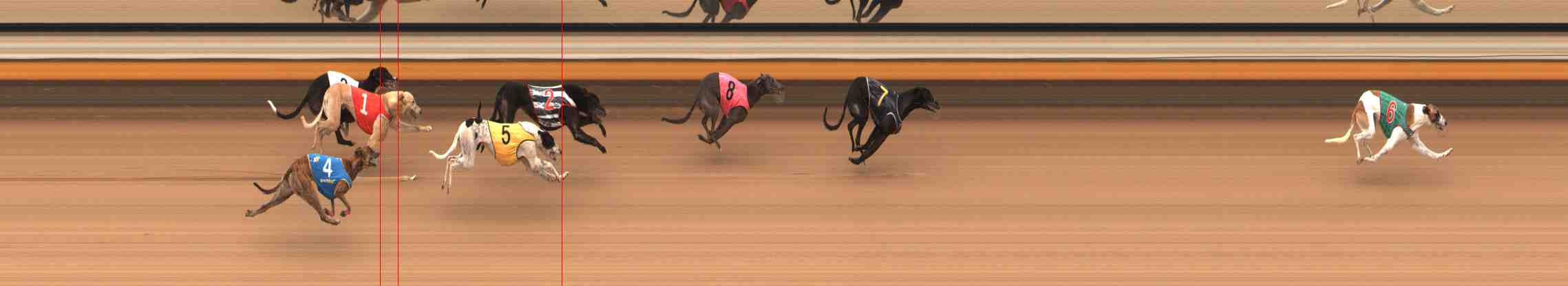 Photo finish for Warrnambool Race 9