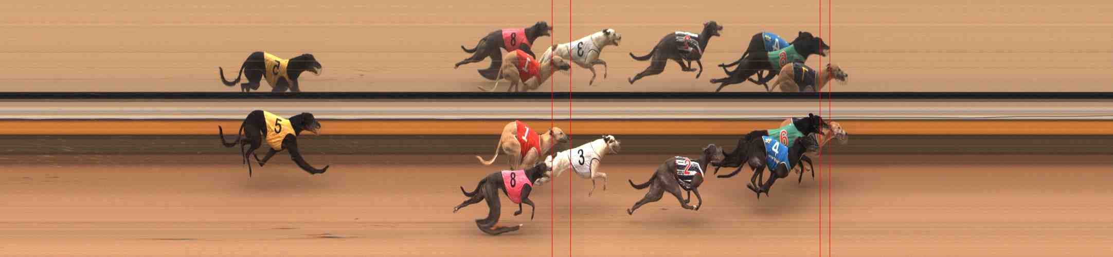 Photo finish for Warrnambool Race 10
