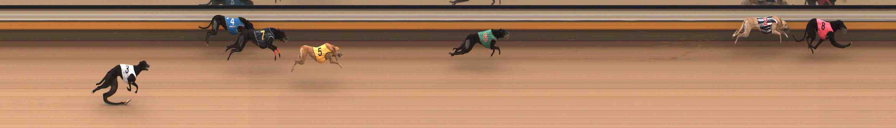 Photo finish for Warrnambool Race 11