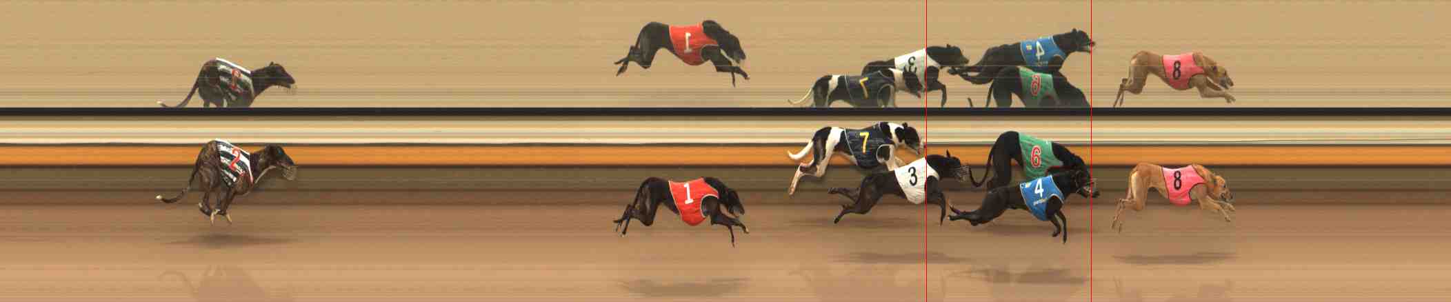 Photo finish for Warrnambool Race 12