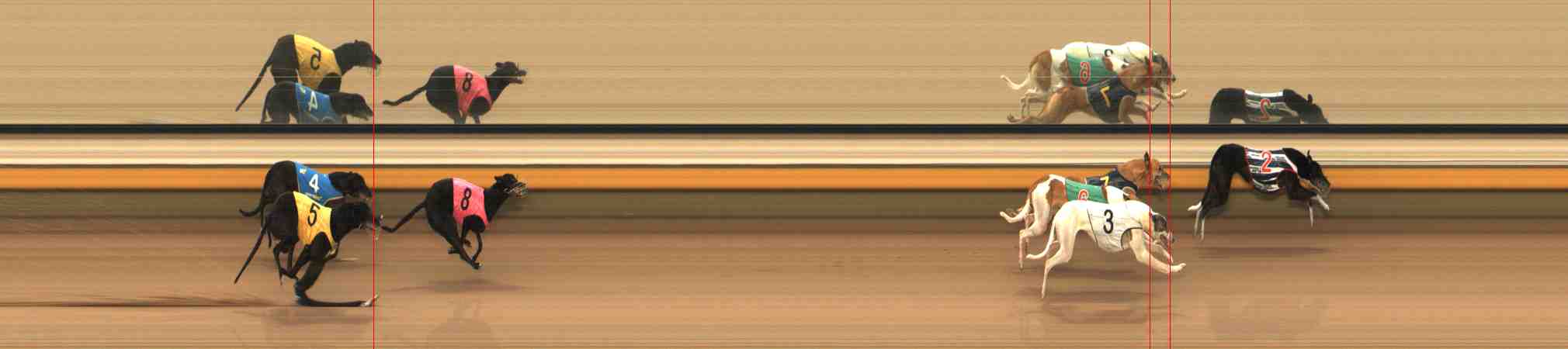 Photo finish for Warrnambool Race 13