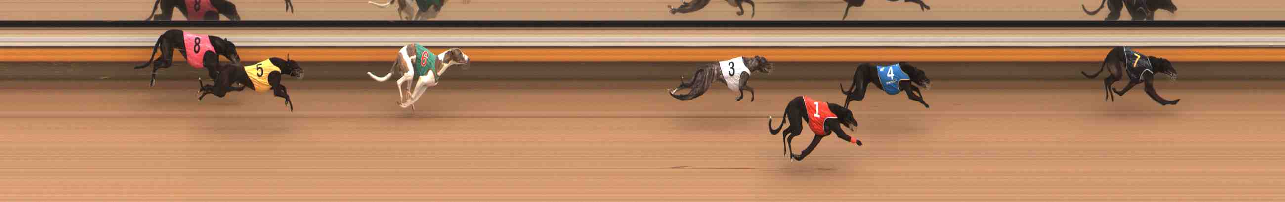 Photo finish for Warrnambool Race 2