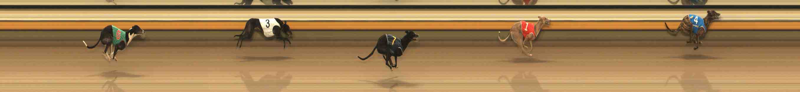 Photo finish for Warrnambool Race 3