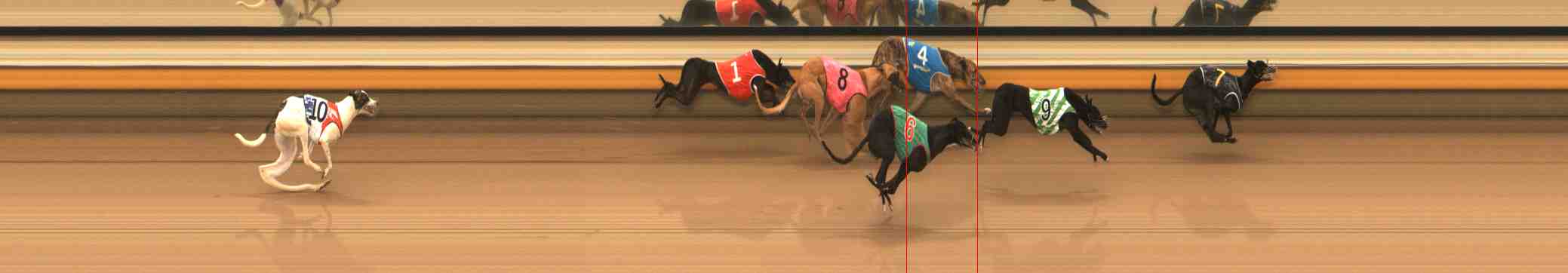 Photo finish for Warrnambool Race 4