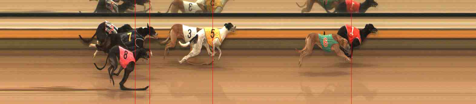 Photo finish for Warrnambool Race 5