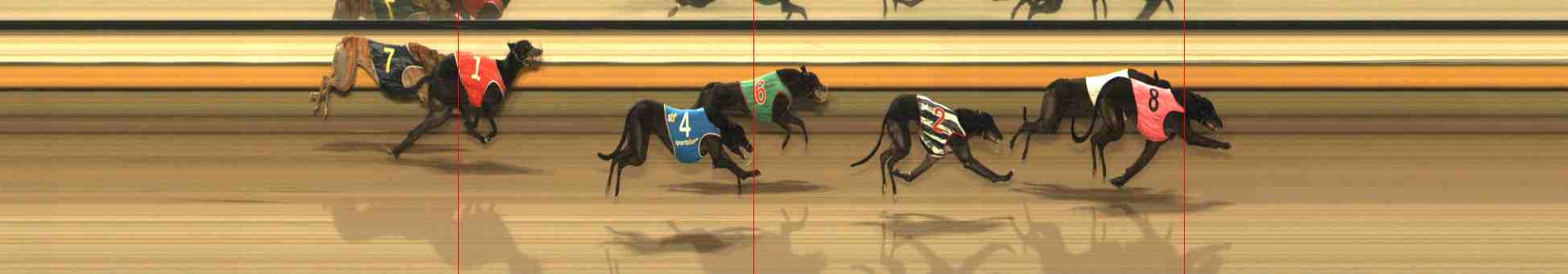 Photo finish for Warrnambool Race 6