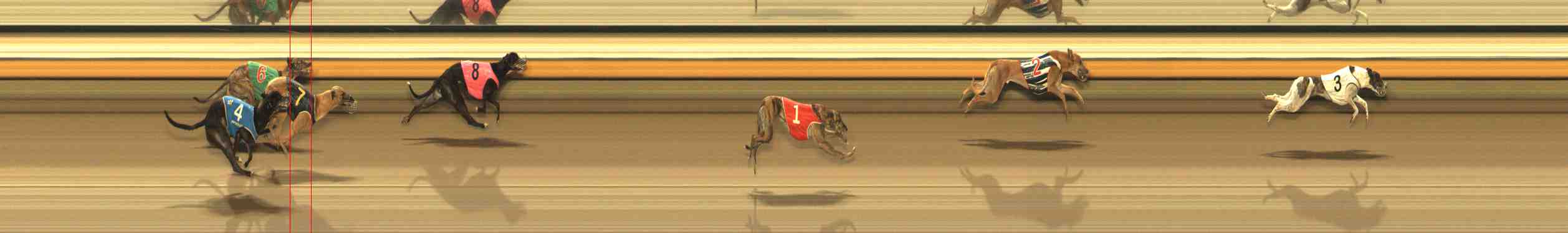 Photo finish for Warrnambool Race 7