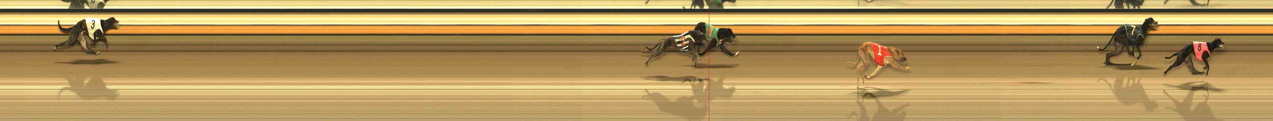 Photo finish for Warrnambool Race 8