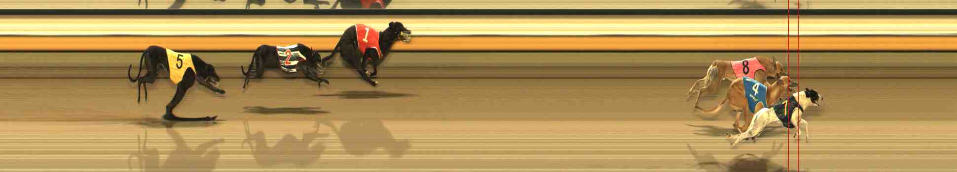 Photo finish for Warrnambool Race 9