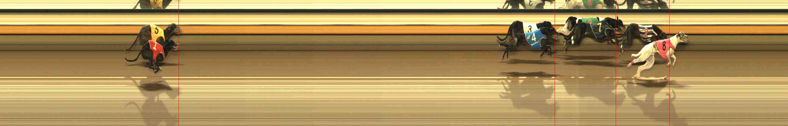 Photo finish for Warrnambool Race 10