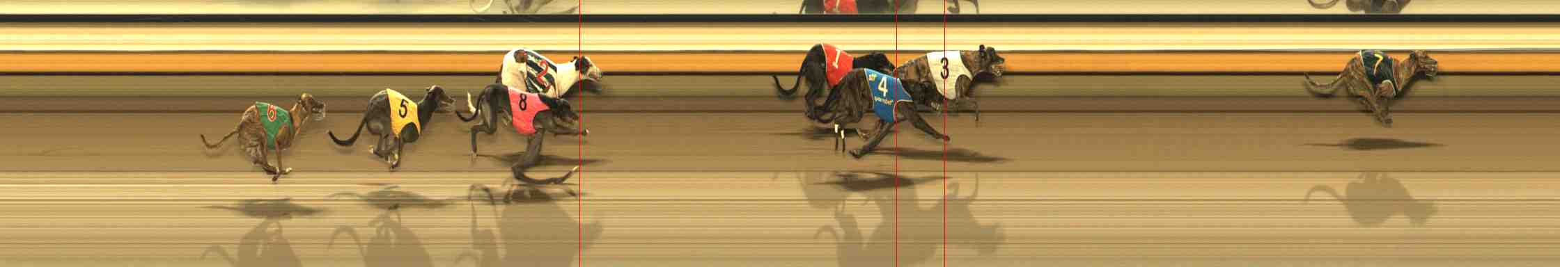 Photo finish for Warrnambool Race 11