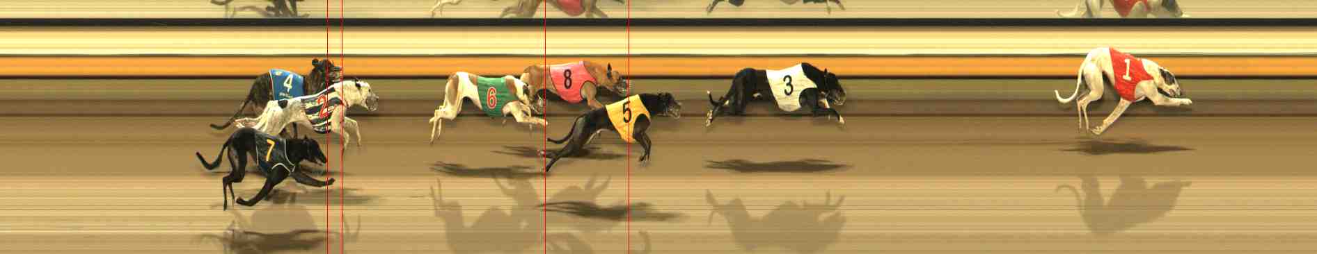 Photo finish for Warrnambool Race 12