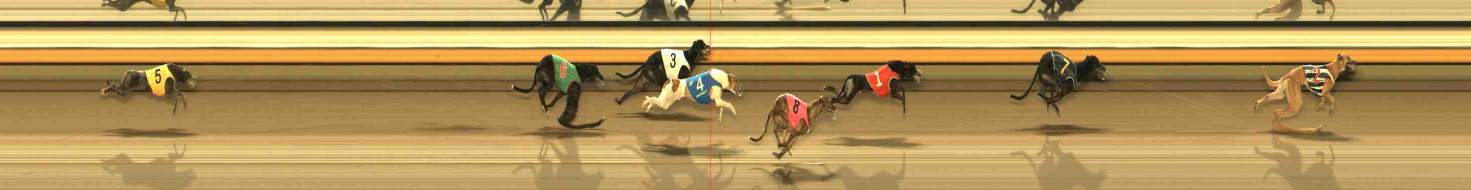 Photo finish for Warrnambool Race 13