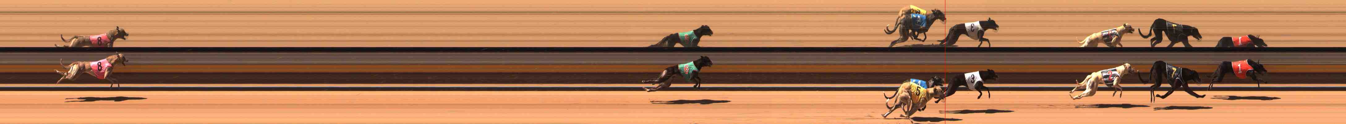 Photo finish for Warrnambool Race 1