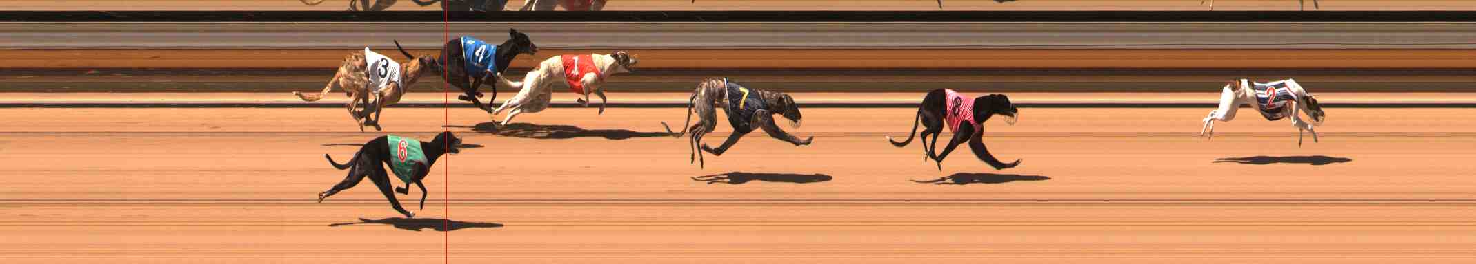 Photo finish for Warrnambool Race 2