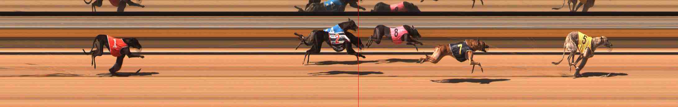 Photo finish for Warrnambool Race 3