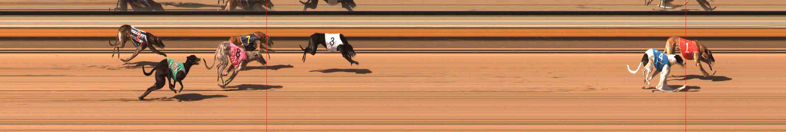 Photo finish for Warrnambool Race 4